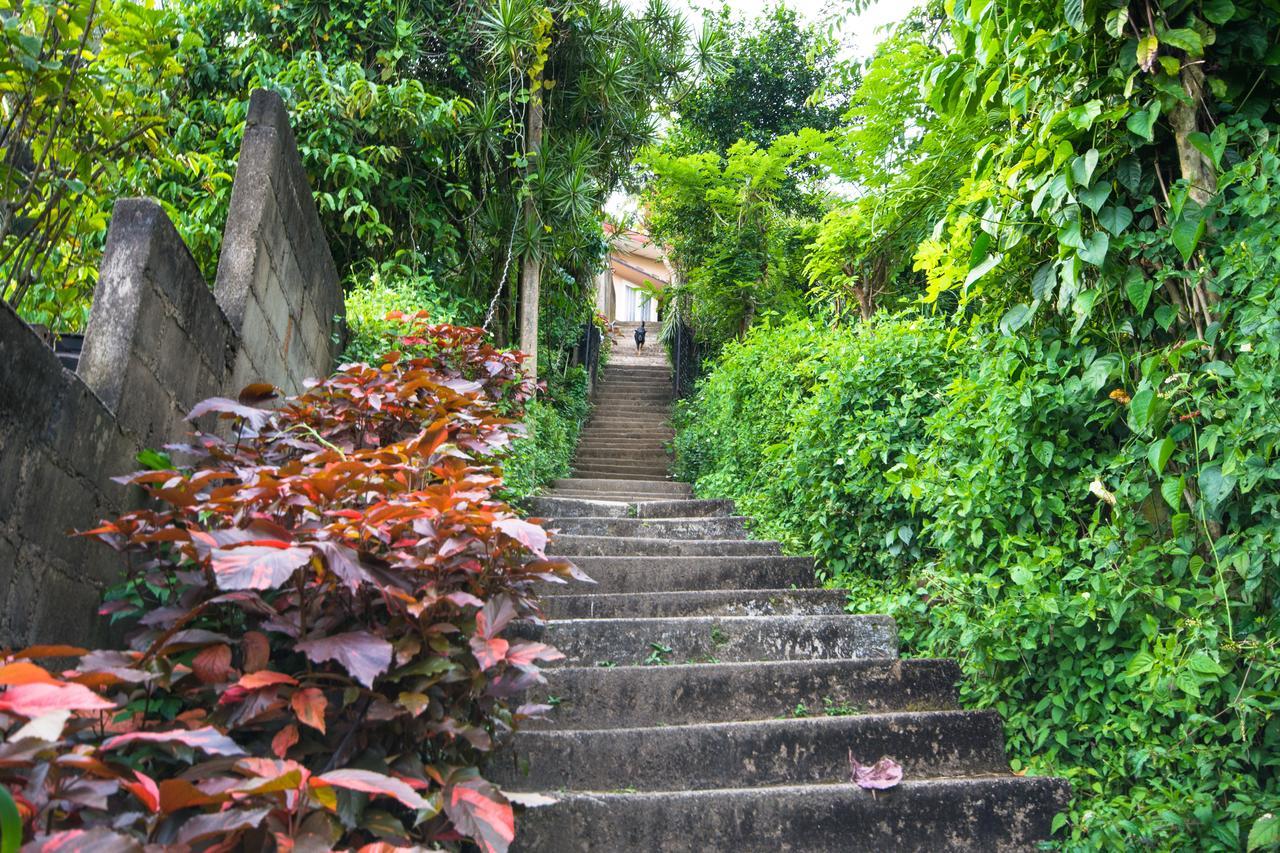 Villa Udawatta Kele Kandy Exterior foto
